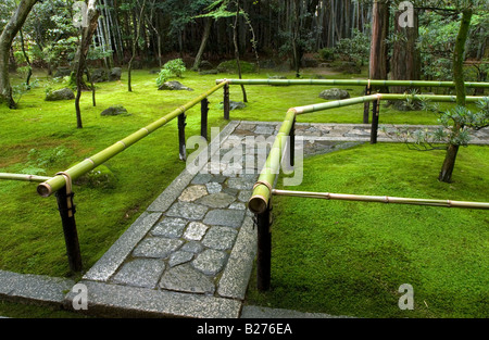 Rich moss growing beside pathway leading to entrance at Koto In Temple in Kyoto Stock Photo