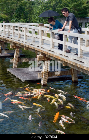 A couple takes a relaxed leisurely moment to feed colorful koi fish from a bridge at the Shirotori Garden in Nagoya Japan Stock Photo