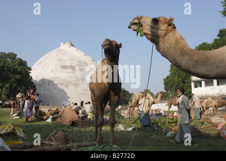 The Golghar  in Patna, capital of Bihar state, India. Stock Photo