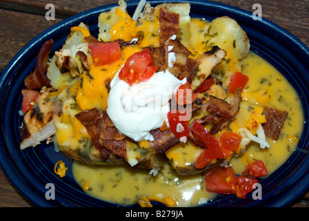 A baked potato with all the trimmings bacon melted jack and cheddar cheese tomato sour cream parsley and chicken Stock Photo