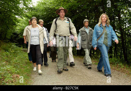 ranger with hiking group on a guided trip across National Park nature reserve Eifel, North Rhine Westphalia, Germany Stock Photo