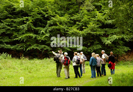 ranger with hiking group on a guided trip across National Park nature reserve Eifel, North Rhine Westphalia, Germany Stock Photo
