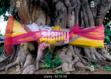 wat phra that hariphunchai bodi tree shrine lampang thailand Stock Photo