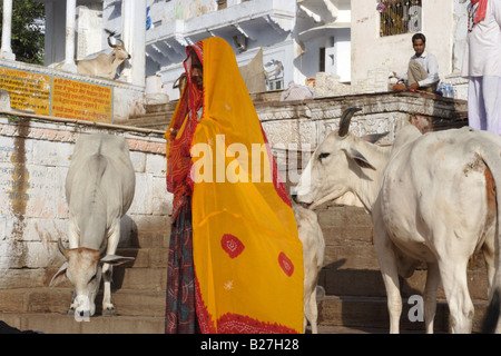 A woman dries her sari after bathing in Pushkar Lake, in Pushkar, Rajastan, India. Stock Photo
