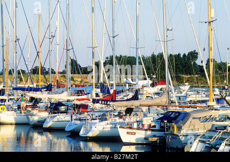 Hayling Island Northney Marina Hampshire harbour boats masts yachts sailing dingies dingy leisure craft resort England UK coast Stock Photo