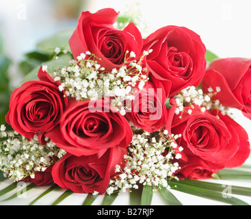 Close up of bouquet of roses Stock Photo