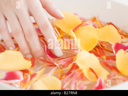 Woman with hand in bowl of water and flower petals Stock Photo