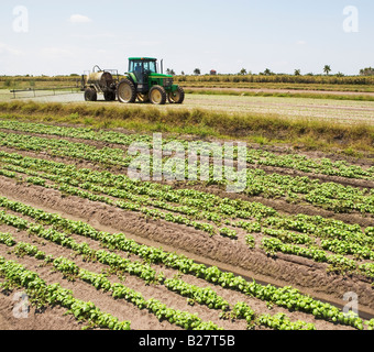 Tractor spraying field, Florida, United States Stock Photo