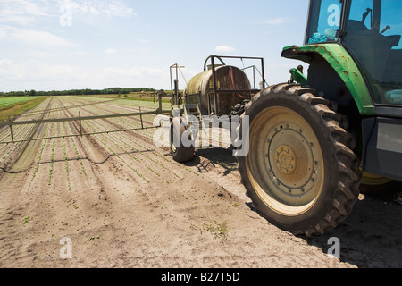 Tractor spraying field, Florida, United States Stock Photo