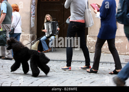 LTU Lithuania Capital Vilnius Female street musician with accordion in the oldtown Stock Photo