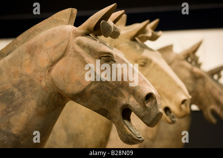 Horses from Terracotta Army on display in the Shaanxi History Museum Xian China Stock Photo