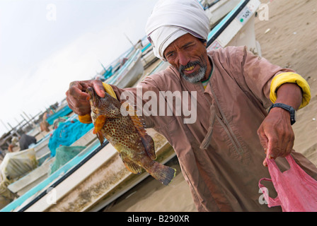 Omani fisherman shows off his catch on the beach at Barka Stock Photo