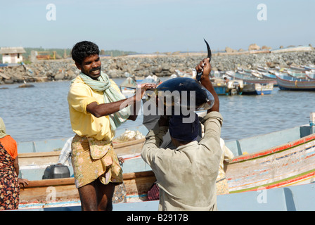 A fisherman handing over a big fish catch to fellow fishermen for sale at Vizhinjam,Kerala,india Stock Photo