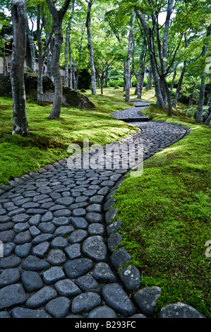 A stone path winding through a green moss garden with trees and dappled sunlight. Stock Photo