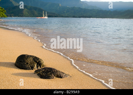 The beach at the St. Regis Princeville Resort, Kauai, Hawaii. USA. Stock Photo