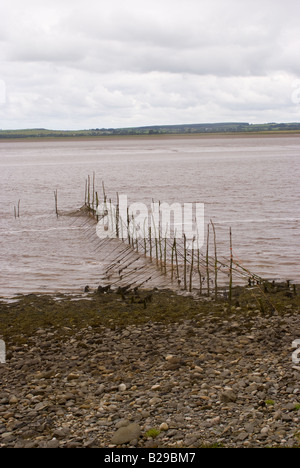 Traditional fish trap salmon hi-res stock photography and images - Alamy