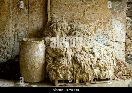 Sheep skins piled up in the famous Tanneries area of Fes in Morocco. This is in the area where the skins are prepared for dying. Stock Photo