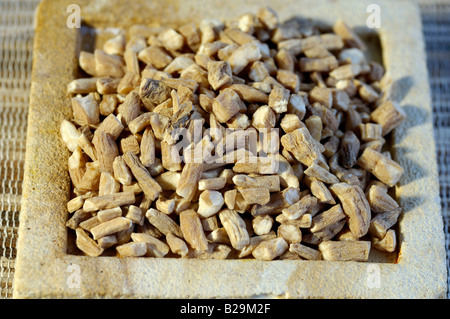 Heterophylly Falsestarwort / Tai Zi Shen Stock Photo