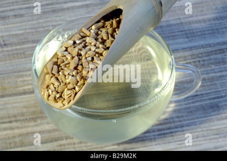 Heterophylly Falsestarwort tea / Tai Zi Shen Stock Photo