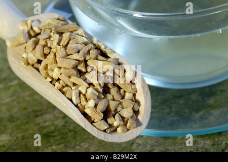 Heterophylly Falsestarwort tea / Tai Zi Shen Stock Photo