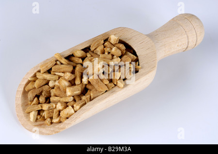 Heterophylly Falsestarwort / Tai Zi Shen Stock Photo