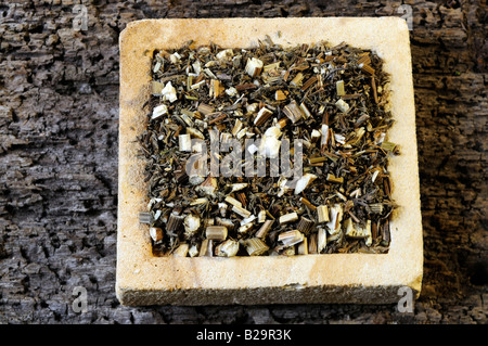 Sweet Wormwood Herb / Qing Hao Stock Photo