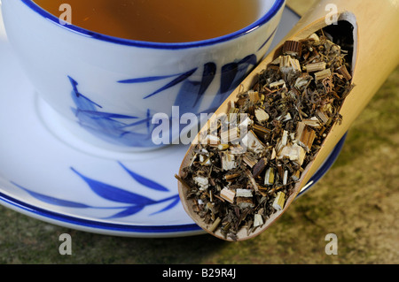 Sweet Wormwood Herb / Qing Hao Stock Photo