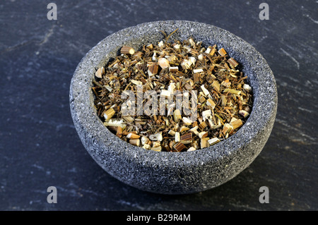 Sweet Wormwood Herb / Qing Hao Stock Photo