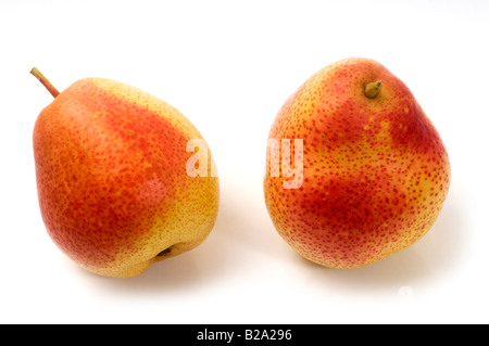Two Forelle blush pears Stock Photo