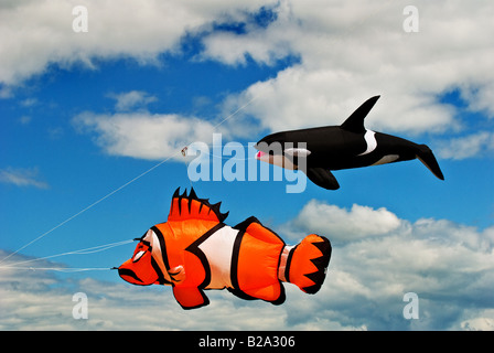 Two colourful kites flying against a blue sky. Stock Photo