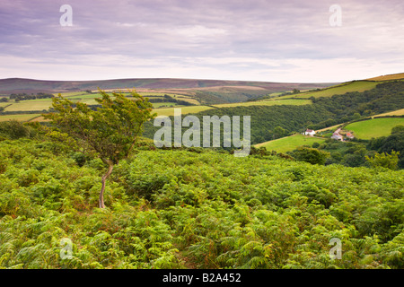 Rolling farmland and moorland viewed from Porlock Hill Exmoor National Park Somerset England Stock Photo