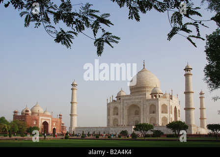 View on Taj Mahal framed with leaves and branches with blue sky Stock Photo