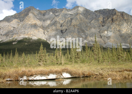 Permafrost covered by soil and vegetation Stock Photo