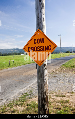 Sign 'Cow Crossing' , country road. Stock Photo