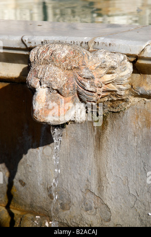 detail of a lions head of the fonte gaia or fountain of joy piazza del campo siena tuscany southern italy europe Stock Photo