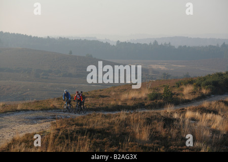 Three Mountain Bike Riders Ride in the Surrey Hills near Box Hill in Surrey Stock Photo