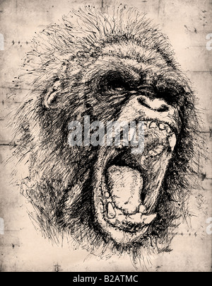 Jungle by DaisyPearl7 #portrait #retrato #hiper #realistic #pencil #draw  #daisypearl7 #beauty #jungle #monkey #selva #gorila #macaco #…