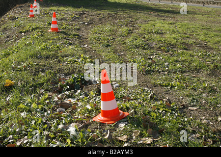 row of traffic cones in field on country lane Stock Photo