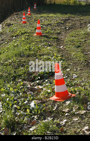 row of traffic cones in field on country lane Stock Photo