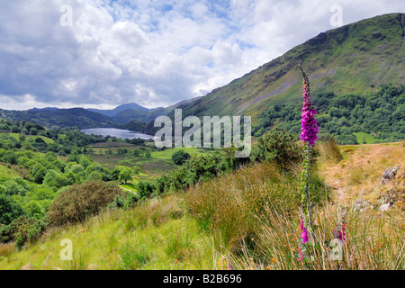 Overlooking Llyn Gwynant in Snowdonia National Park in North Wales with an overcast sky Stock Photo
