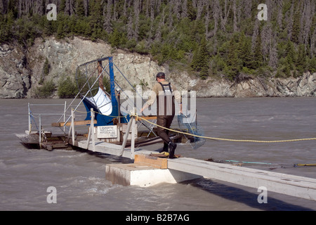 Fisherman checking his fishing wheel for fish, for automated catching of salmon in Copper River near Chitina, Alaska. Stock Photo