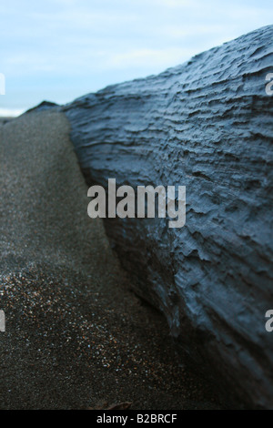 Close up of a burnt wood stump on a black sand beach in Castlecliff, Wanganui, New Zealand. Stock Photo