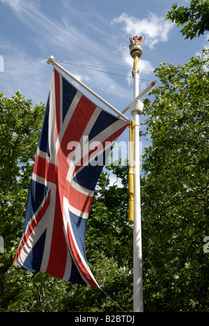 British flag on flagpole with trees in background, London