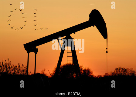 Oil feed pump at sunset, Oel, oil, written in the sky Stock Photo