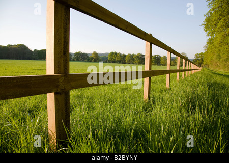 A post and rail fence illustrating perspective, West Sussex, England. Stock Photo