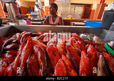 Fish vendor selling fresh red fish at the fish market in the town of Mindelo, Sao Vicente Island, Cape Verde, Africa Stock Photo