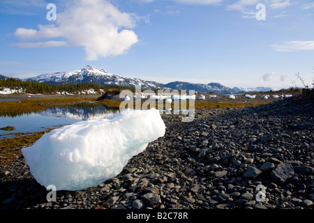 Ice blocks and icebergs spread out on the shore, Prince William Sound, Alaska, USA Stock Photo