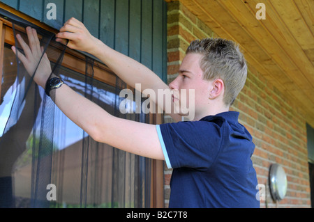 Adolescent putting up an insect protective grid on a balcony door Stock Photo