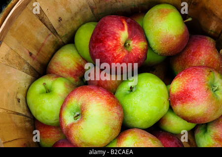 Red and green apples in a wooden basket for sale at a farmers market Stock Photo