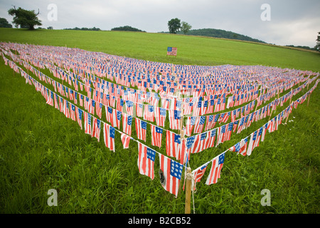 Flags for each dead soldier in Iraq Catskills New York State Stock Photo